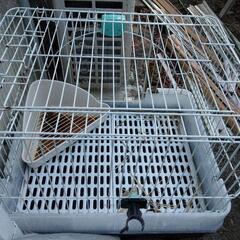 うさぎ小屋　おやつ付き