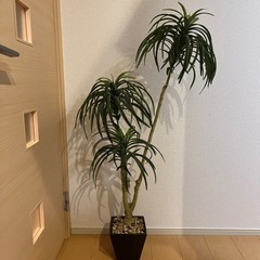 観葉植物　造花
