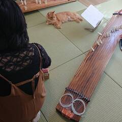 和楽器/琴👑社会人向け箏サークル👑初心者/経験者/尺八/オンライン - 北区