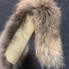 Jacket pyrenex の画像
