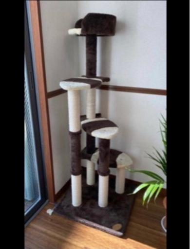 キャットタワー