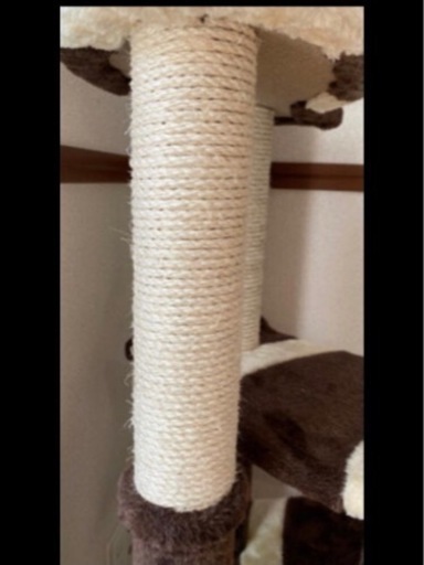キャットタワー