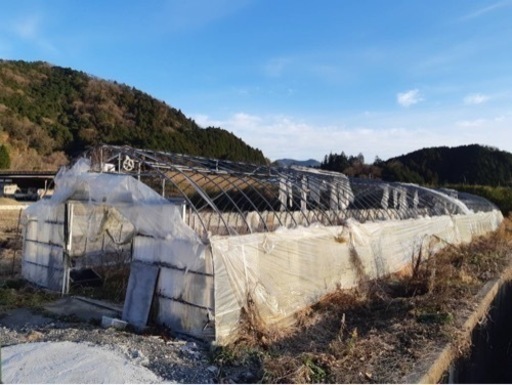 大特価　早い者勝ちビニールハウス骨組み