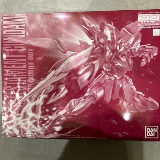 MG テスタメントガンダム未組立