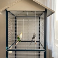 インコ・オウム用バードケージ　複数、大型なんでも入ります！の画像