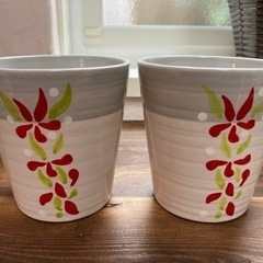 ■フリーカップ■セット