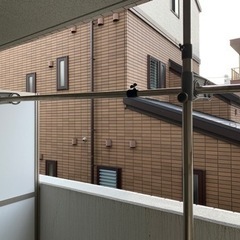 【無料】屋外用 物干し竿