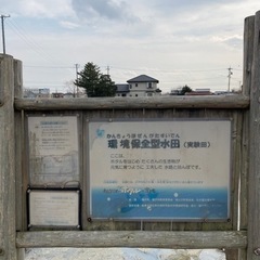 祖父江のほたるを守りたい