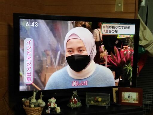東芝レグザ102cm×62cm 45型？