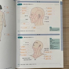 解剖 トレーニングノート 第5版の画像