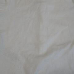 BURBERRY 80の画像