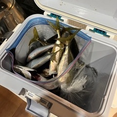 楽しくできる釣り仲間募集します！！ - 稲敷郡