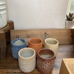 ■箱入り　揃い　湯呑み■未使用