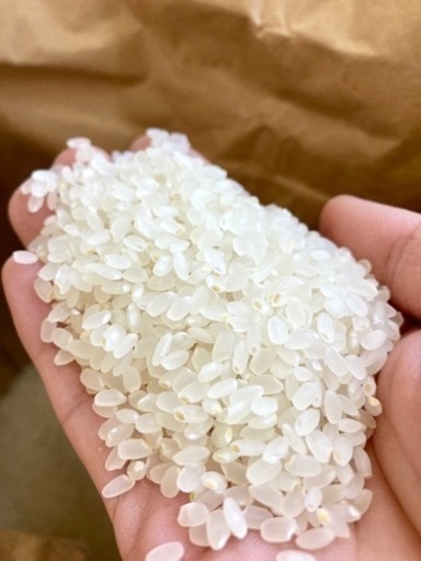 令和2年度産ヒノヒカリ30キロ玄米