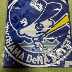 未使用　横浜DENAベイスターズ　ポンチョ　フリーサイズ