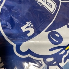 未使用　横浜DENAベイスターズ　ポンチョ　フリーサイズの画像