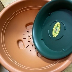 植木鉢などの画像