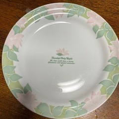 24.5センチお皿
