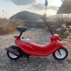 ホンダ　ズーク　スクーター　希少