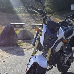 ホンダ GROM グロム ご希望の金額をお伝えください^^交換も可の画像