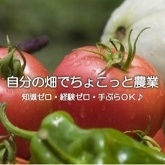 🍅サポート付きレンタル畑【ちょこっと農業】岸和田南農園3月オープン🍅の画像