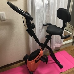 自宅トレーニング自転車フィットネスバイク　ハイガー産業の画像