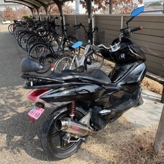 PCXの画像