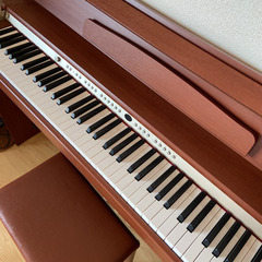 Roland DP-970-MC