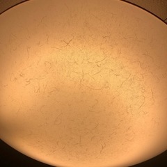 電気 和紙風の画像