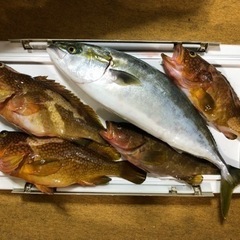 小浜、若狭湾　マイボート釣り仲間募集 − 京都府