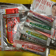 歯磨き　お試し5点セット　おまけ付きの画像