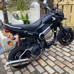 HONDA Navi110の画像