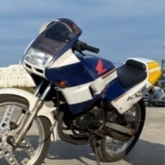 NSF50