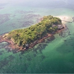 現在46名！<20代限定>【無人島企画！猿島へ冒険だ！🔥】
