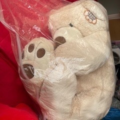 コストコクマ やたらとでかいぬいぐるみ