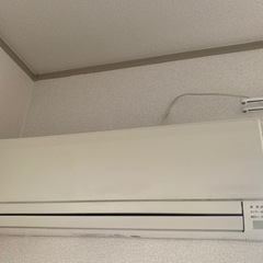 急募！！　無料でどうぞ！の画像
