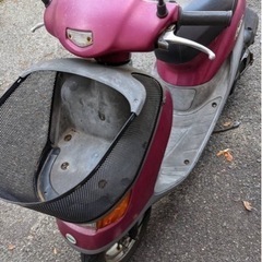 ほぼ決まりです(｡>ㅅ<｡)dio原付❤50cc
