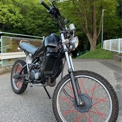 DT50 実働 カスタム多数