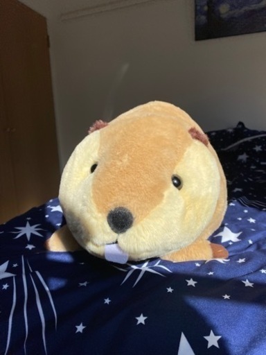 【ほぼ新品】ビーバーおもちゃ