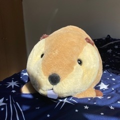 【ほぼ新品】ビーバーおもちゃ