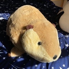 【ほぼ新品】ビーバーおもちゃの画像