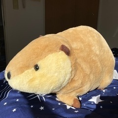 【ほぼ新品】ビーバーおもちゃの画像