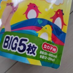 グーン  スイミングパンツ(ビッグ5枚)の画像