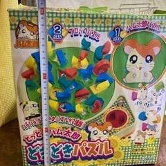 2種類パズルの画像