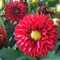 ⭐⭐空いた時間に一稼ぎ！⭐⭐　　1日でもOKの短期バイト❗❗　全...