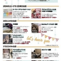 2月26日(土)・27日(日) 新高円寺ichijoマルシェvo...
