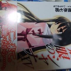 ライトノベルとDVDの画像