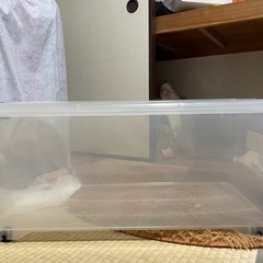 大容量物置ボックス2個の画像