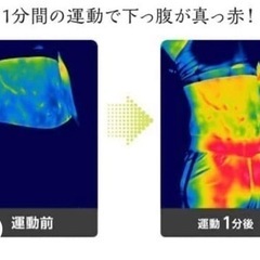骨盤スリムチェア　ゆらこの画像