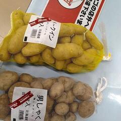 家庭の畑、菜園、庭木等ご相談、お手伝いします。